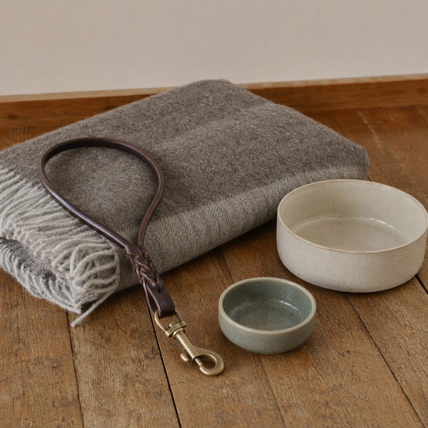 A lead and blanket beside pet bowls