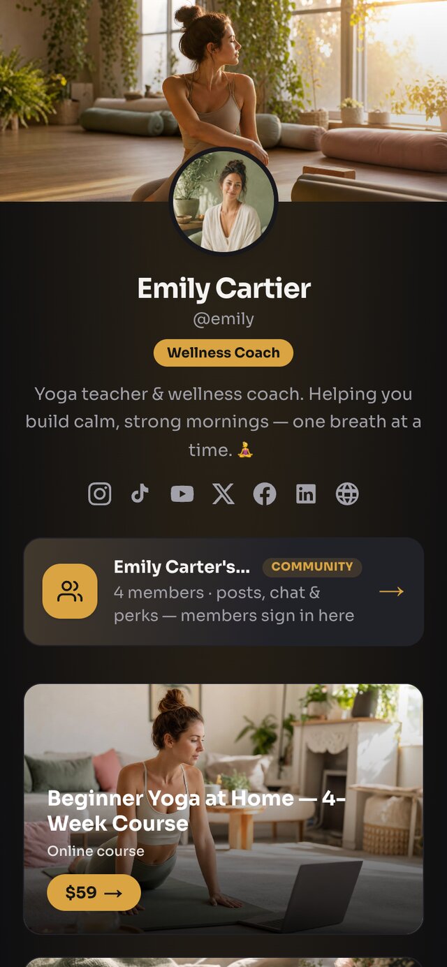 Emily's live Store.Fan shop