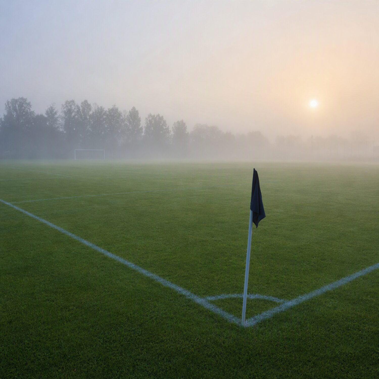 An empty grass pitch with a corner flag